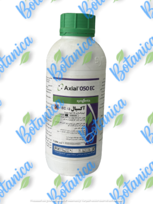 آکسیال