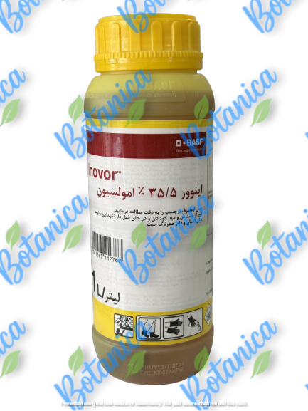اینوور