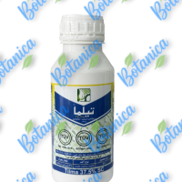 تیلما (1)