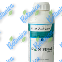 سون-فینال-1-205x300 (1)
