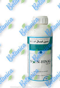 سون فینال