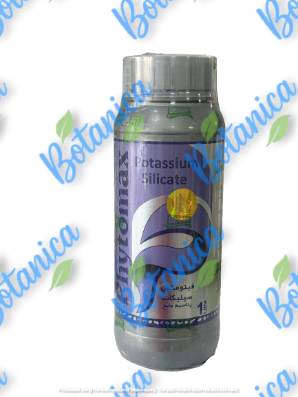 سیلیکات پتاسیم