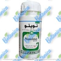 نوینو (1)