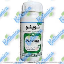 نوینو