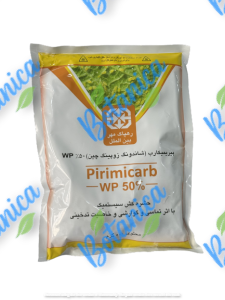 پریمور