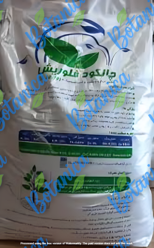 چالکود فلوریش