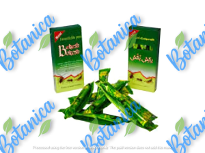 گچ مورچه
