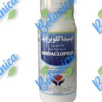 کنفیدور چینی (1)