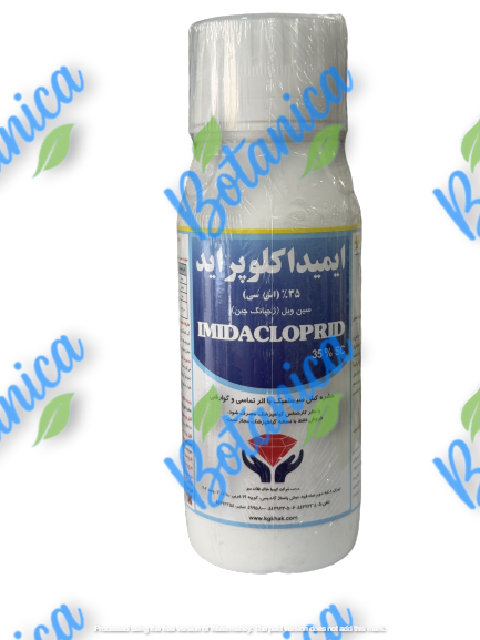 کنفیدور